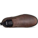 GLOBE FOOTWEAR - DOVE 2 / DARK BROWN WASTED TALENT